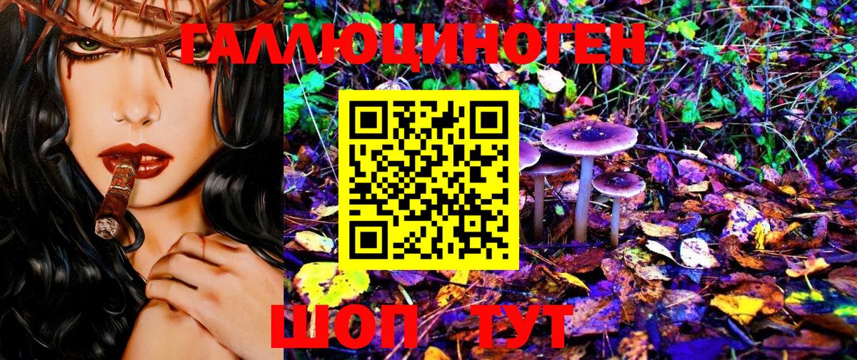 Псилоцибиновые грибы Psilocybe Кемерово